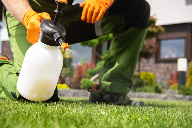 Best Local Pest Control Services  in Solon, OH