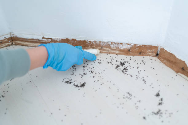 Best Commercial Pest Control Services  in Solon, OH